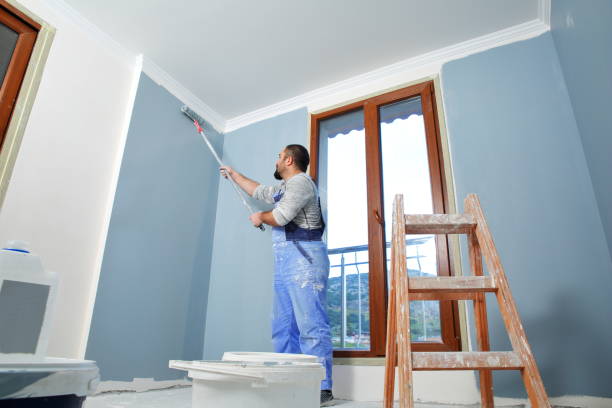 Best Mold Damage Restoration  in Watford City, ND