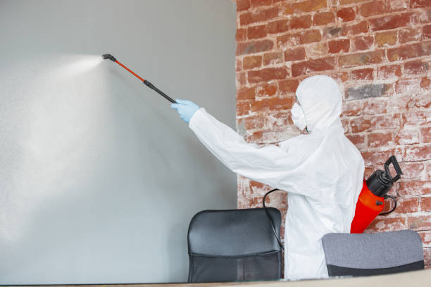 Mold Remediation for Rental Properties in Watford City, ND