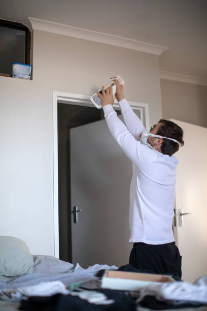 Best Mold Removal for HVAC Installations  in Watford City, ND