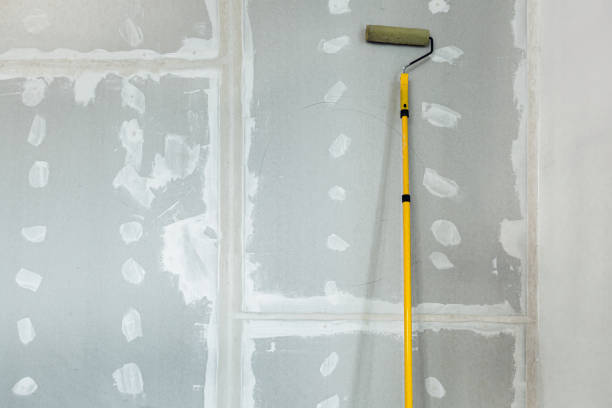 Best Mold Prevention Services  in Watford City, ND