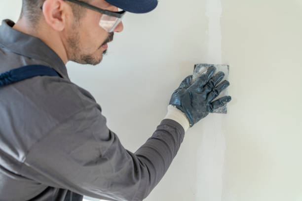 Best Dehumidification Services  in Watford City, ND