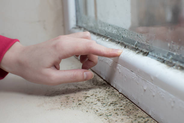 Best Indoor Air Quality Assessment  in Watford City, ND