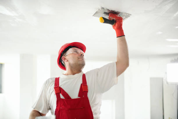 Best Comprehensive Air Testing for Mold Contaminants  in Watford City, ND