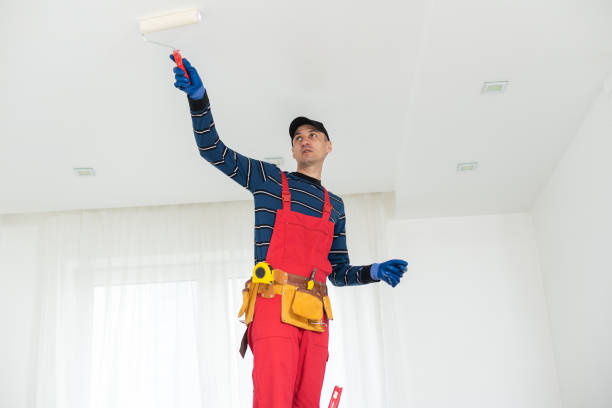 Best Airborne Mold Testing  in Watford City, ND